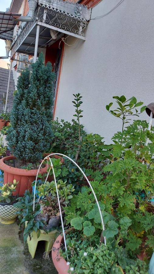 Boutique Hotel Pʼotʼi Dış mekan fotoğraf