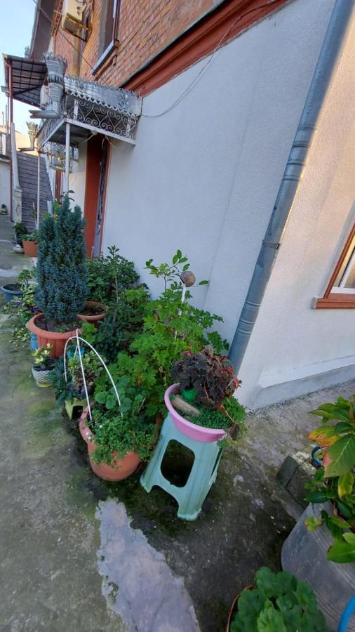 Boutique Hotel Pʼotʼi Dış mekan fotoğraf
