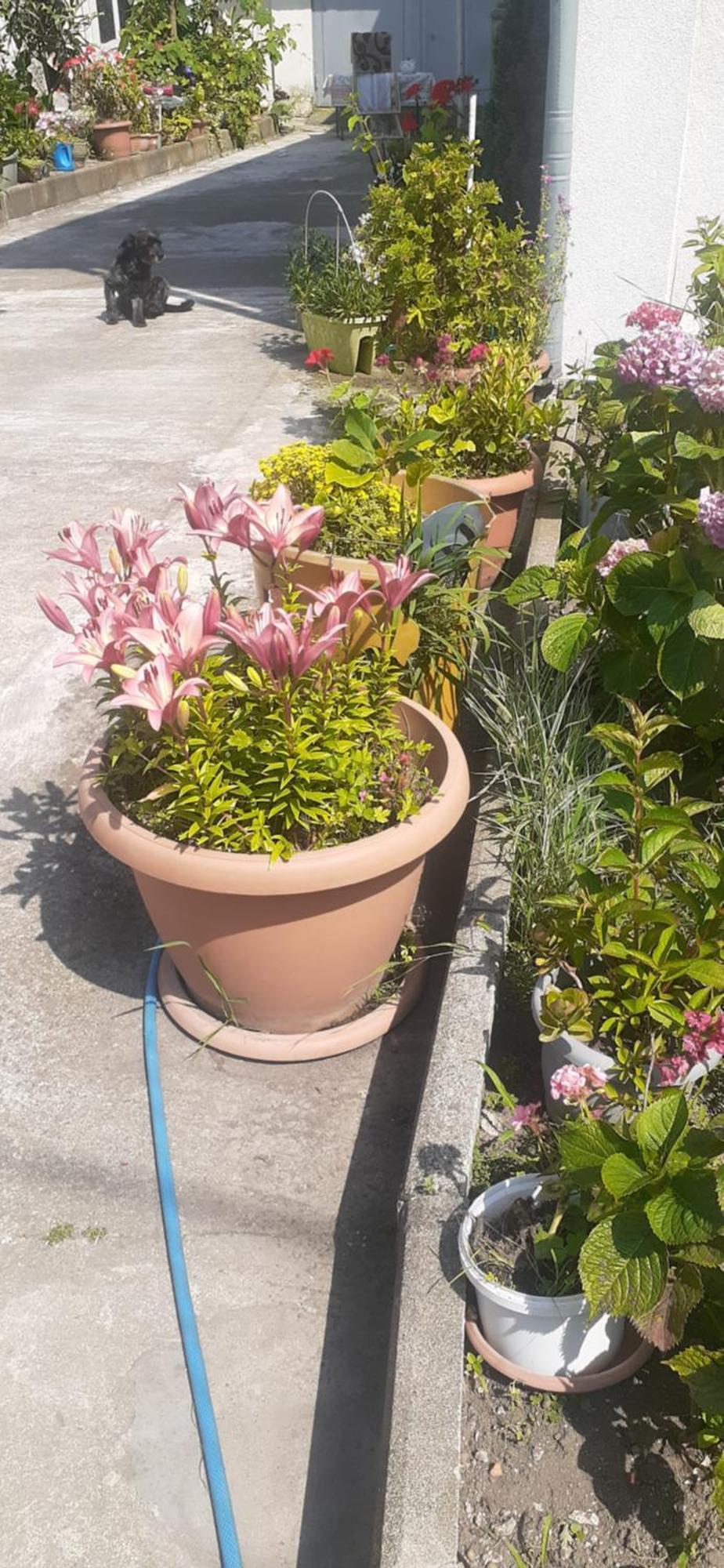 Boutique Hotel Pʼotʼi Dış mekan fotoğraf
