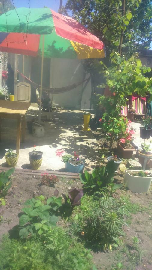 Boutique Hotel Pʼotʼi Dış mekan fotoğraf